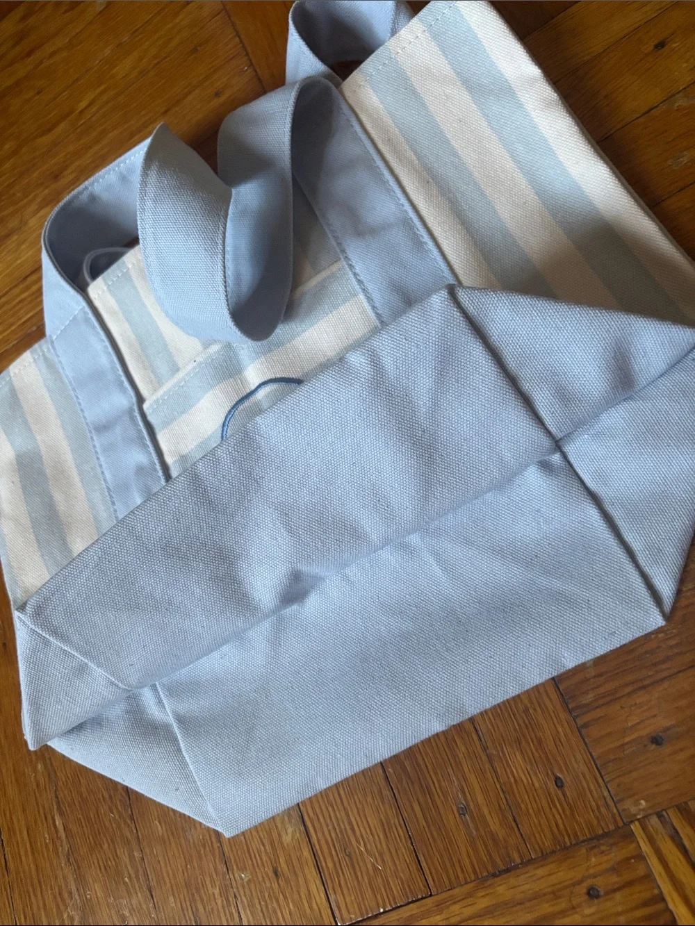 Trader Joe’s Light Blue & Cream Striped Mini Canvas Tote